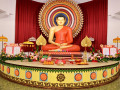 Puja-54