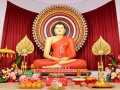 Puja-55