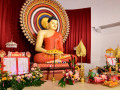 Puja-56
