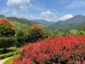 IMG_5642