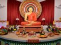 2025_SanghikaDana-93