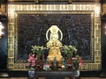 VN045