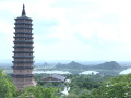 VN049