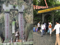 VN071