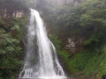 VN080