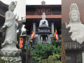 VN084