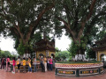 VN105