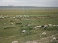 Tibet-2013-010