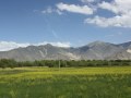 Tibet-2013-1209