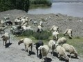 Tibet-2013-1226