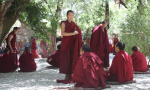 Tibet-2013-528