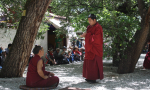 Tibet-2013-531